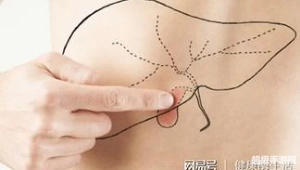 人体最大的解毒器官是